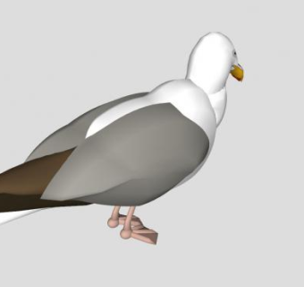 海鸥SU模型下载_sketchup草图大师SKP模型