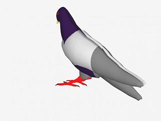鸟类动物<em>鸽子</em>SU模型下载_sketchup草图大师SKP模型