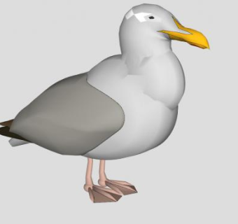 鸟类动物海鸥SU模型下载_sketchup草图大师SKP模型