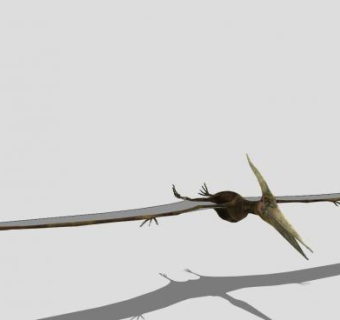 恐龙类翼手龙SU模型下载_sketchup草图大师SKP模型