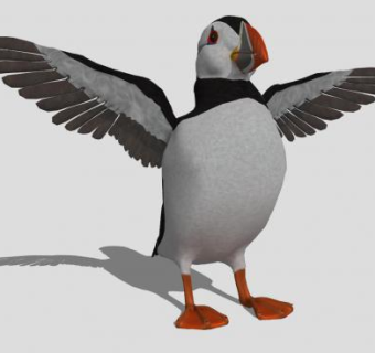 鸟类动物角嘴海雀SU模型下载_sketchup草图大师SKP模型