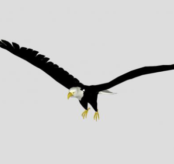 鸟类动物白头海雕SU模型下载_sketchup草图大师SKP模型