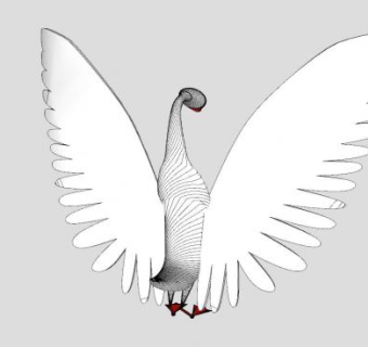 鸟类动物白天鹅SU模型下载_sketchup草图大师SKP模型