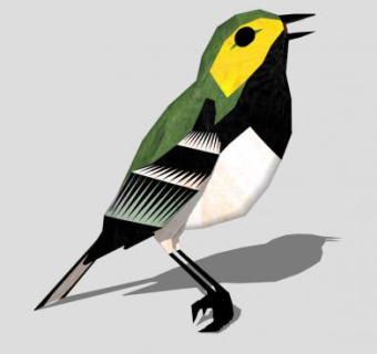 鸟类动物黑喉绿林莺SU模型下载_sketchup草图大师SKP模型