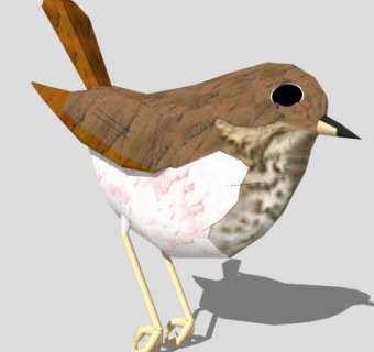 鸟类动物画眉鸟SU模型下载_sketchup草图大师SKP模型