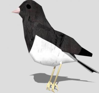 鸟类动物暗眼灯草鹀SU模型下载_sketchup草图大师SKP模型