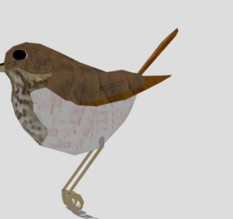 鸟类动物隐夜鸫SU模型下载_sketchup草图大师SKP模型