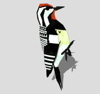 黄腹吸汁啄木鸟SU模型下载_sketchup草图大师SKP模型