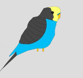 2D长尾鹦鹉SU模型下载_sketchup草图大师SKP模型