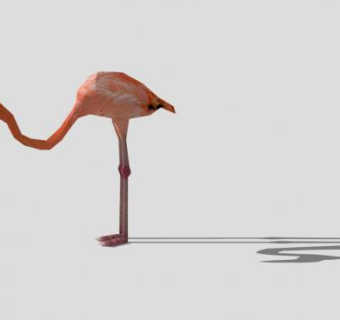 大火烈鸟SU模型下载_sketchup草图大师SKP模型