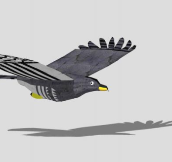 鸟类动物钩嘴鸢SU模型下载_sketchup草图大师SKP模型