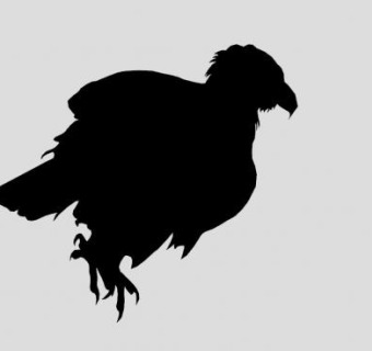 2D鹰的阴影SU模型下载_sketchup草图大师SKP模型