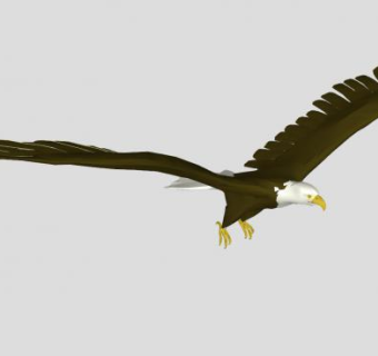 飞行的秃鹰SU模型下载_sketchup草图大师SKP模型