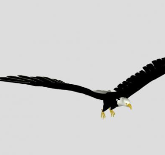 飞行的美洲雕SU模型下载_sketchup草图大师SKP模型