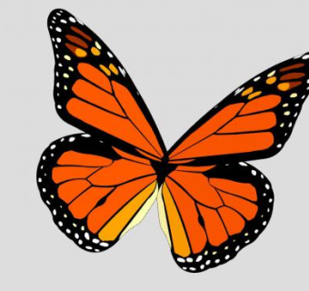 黑脉金斑蝶SU模型下载_sketchup草图大师SKP模型