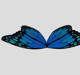 蓝蝴蝶SU模型下载_sketchup草图大师SKP模型