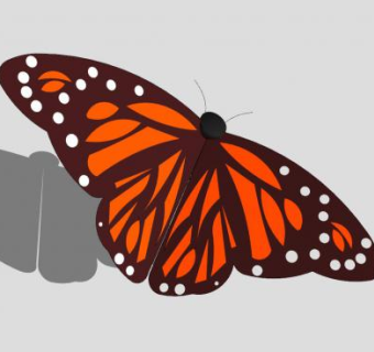 昆虫纲君主斑蝶SU模型下载_sketchup草图大师SKP模型