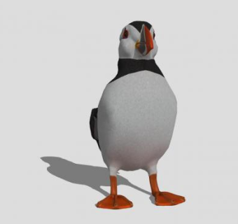 鸟类动物海鹦SU模型下载_sketchup草图大师SKP模型