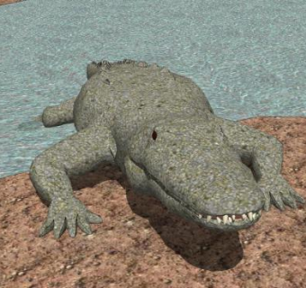 爬行纲短吻鳄SU模型下载_sketchup草图大师SKP模型