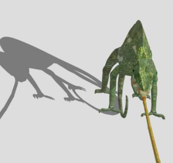 觅食的蜥蜴SU模型下载_sketchup草图大师SKP模型