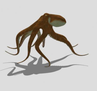 海洋软体动物章鱼SU模型下载_sketchup草图大师SKP模型