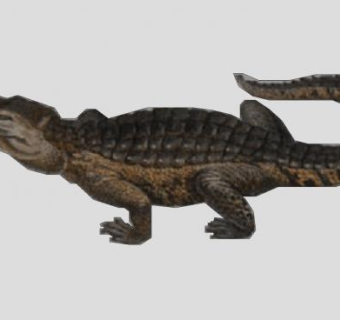2D爬行动物鳄鱼SU模型下载_sketchup草图大师SKP模型