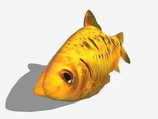 3D水生动物<em>纹理</em>鱼SU模型下载_sketchup草图大师SKP模型