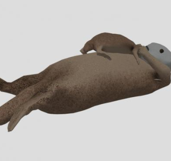海洋哺乳纲海獭SU模型下载_sketchup草图大师SKP模型
