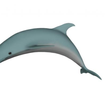 跳跃的海豚SU模型下载_sketchup草图大师SKP模型