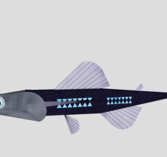 水生动物头尾灯鱼SU模型下载_sketchup草图大师SKP模型