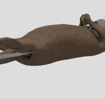 海獭哺乳动物SU模型下载_sketchup草图大师SKP模型