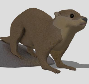 哺乳纲动物水獭SU模型下载_sketchup草图大师SKP模型