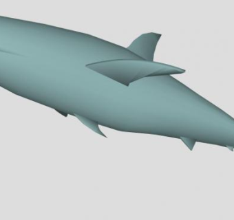 软骨鱼纲动物鲨鱼SU模型下载_sketchup草图大师SKP模型