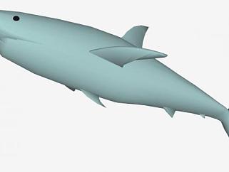 软骨鱼纲动物鲨鱼SU模型下载_sketchup草图大师SKP模型