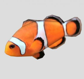 海葵亚科鱼类小丑鱼SU模型下载_sketchup草图大师SKP模型