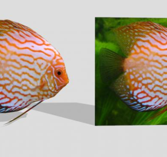 水族箱七彩神仙鱼SU模型下载_sketchup草图大师SKP模型