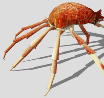 甲壳类动物螃蟹SU模型下载_sketchup草图大师SKP模型
