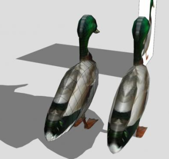 鸟纲动物绿头鸭SU模型下载_sketchup草图大师SKP模型