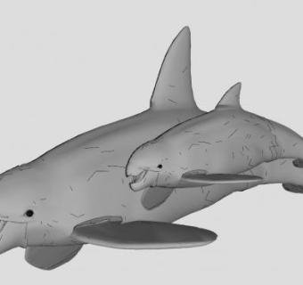 母虎鲸与幼鲸SU模型下载_sketchup草图大师SKP模型