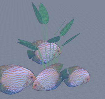 七彩神仙鱼SU模型下载_sketchup草图大师SKP模型