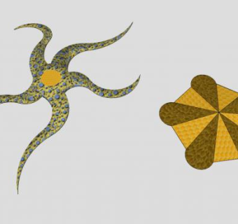 棘皮动物门海星SU模型下载_sketchup草图大师SKP模型
