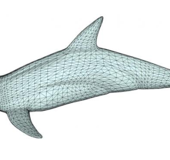 鲸目海豚科动物SU模型下载_sketchup草图大师SKP模型