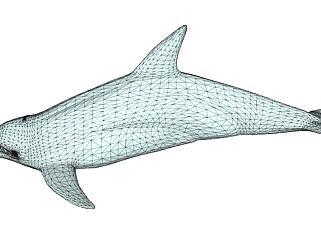 鲸目<em>海豚</em>科动物SU模型下载_sketchup草图大师SKP模型
