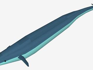 水生鲸类龙王鲸SU模型下载_sketchup草图大师SKP模型