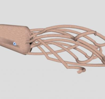 软体动物巨型乌贼SU模型下载_sketchup草图大师SKP模型