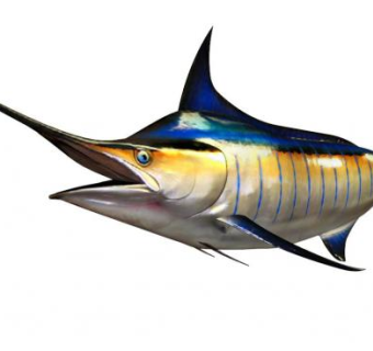 旗鱼科马林鱼SU模型下载_sketchup草图大师SKP模型