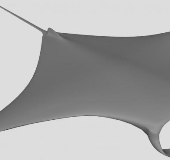 软骨鱼纲蝠鲼SU模型下载_sketchup草图大师SKP模型