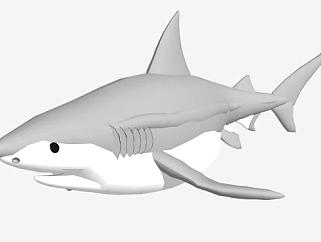 软骨鱼纲牛鲨SU模型下载_sketchup草图大师SKP模型