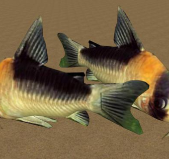 鲶鱼科黑金红头鼠SU模型下载_sketchup草图大师SKP模型