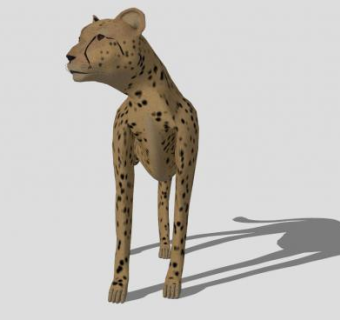 哺乳纲动物猎豹SU模型下载_sketchup草图大师SKP模型